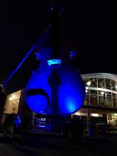 Dystonia Awareness Port of Sydney - The Big Fiddle